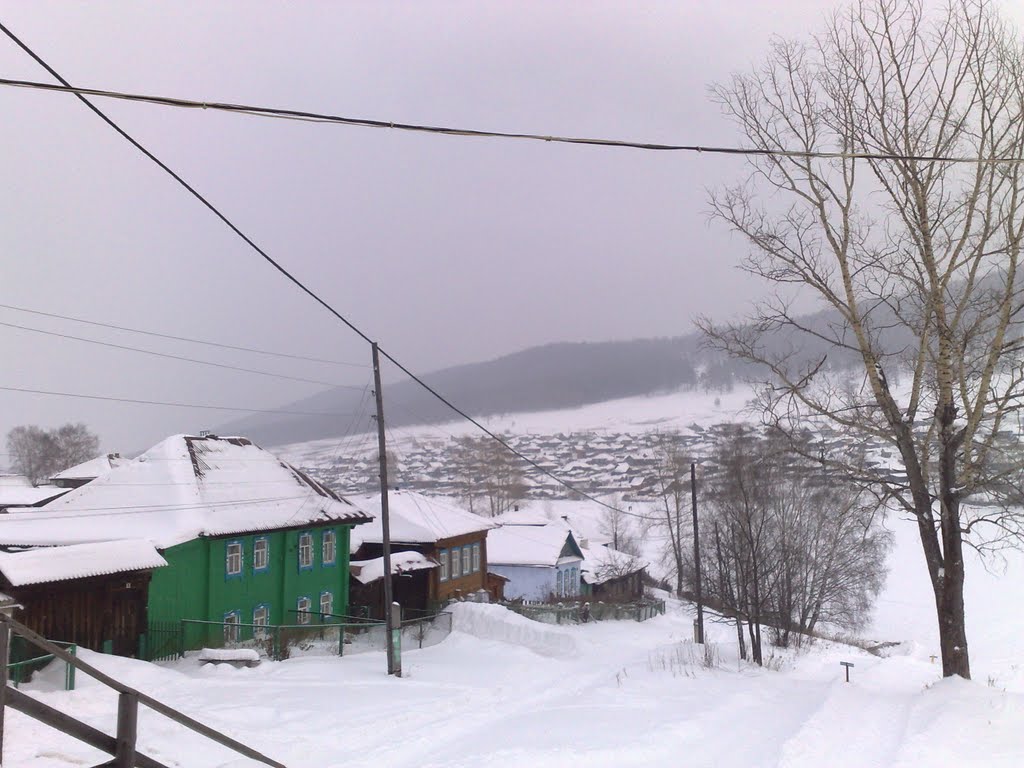 Куса