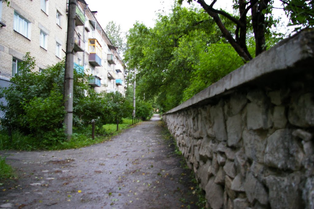 Kusa