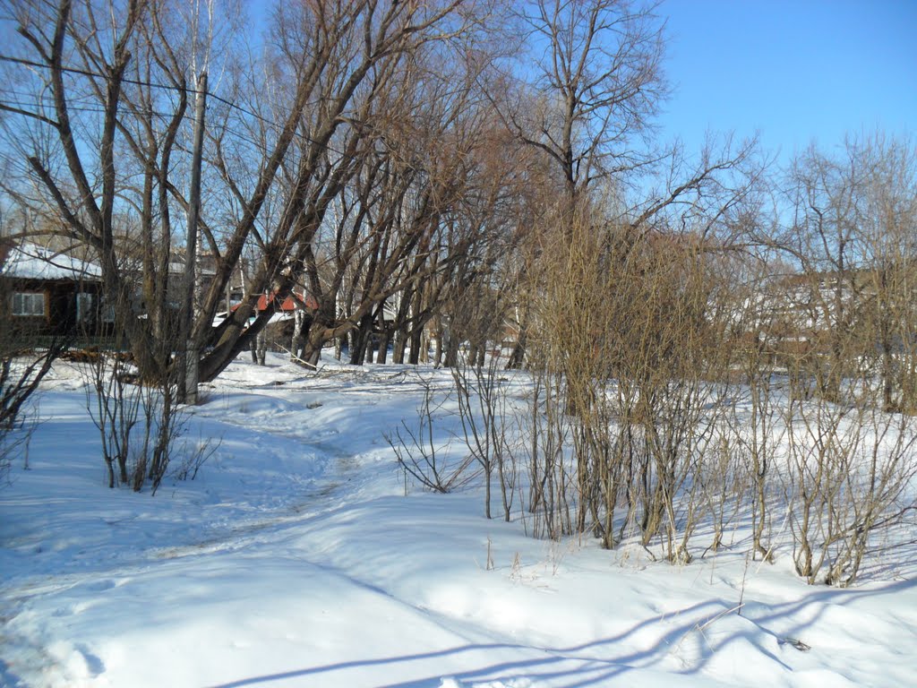 фото с качелей