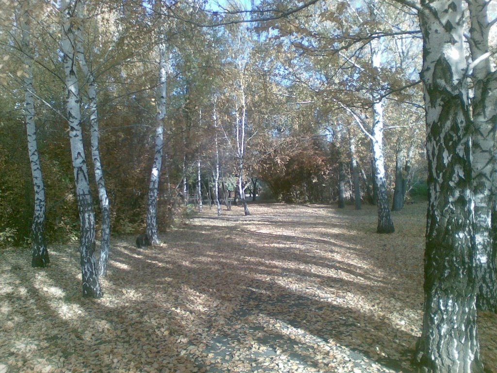 парк 3х поколений