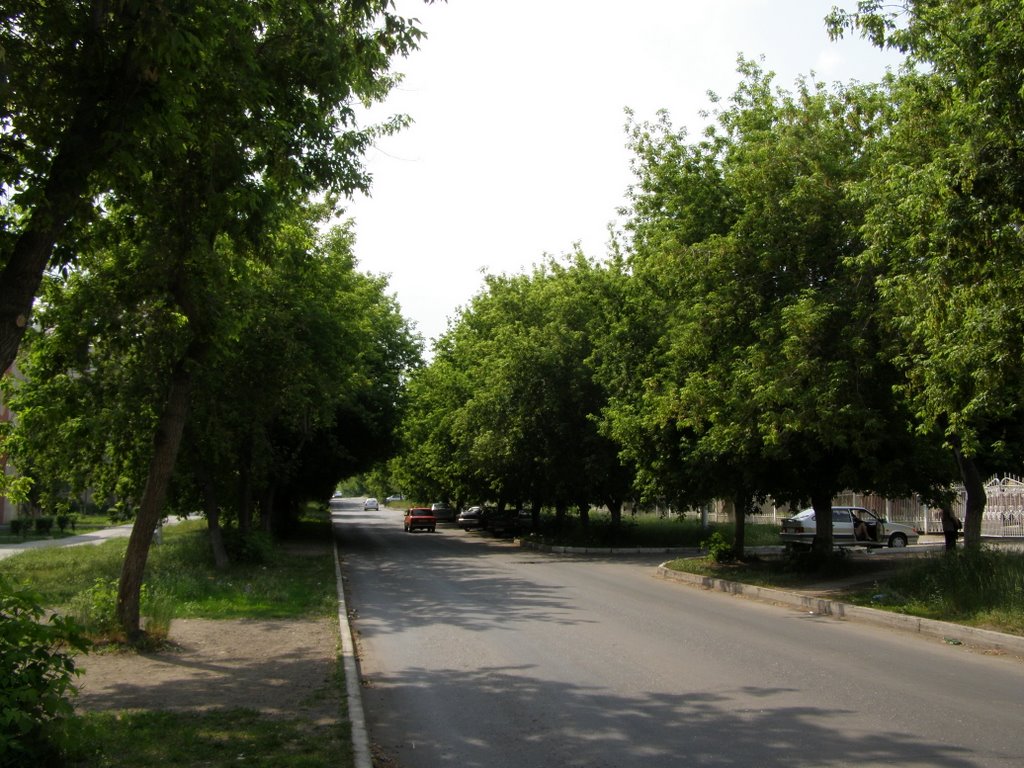Ул. Дружбы