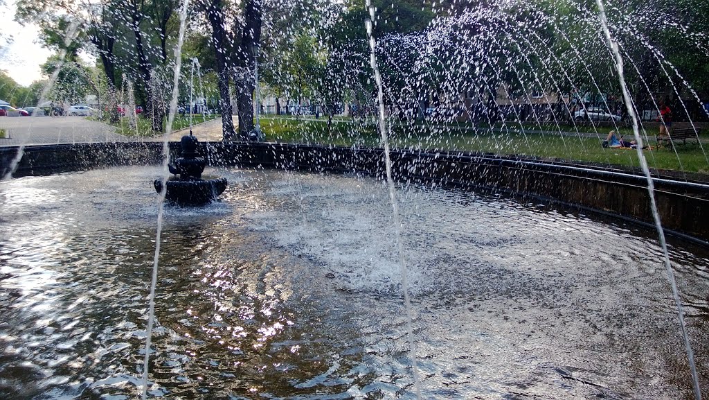 Metallurgov park