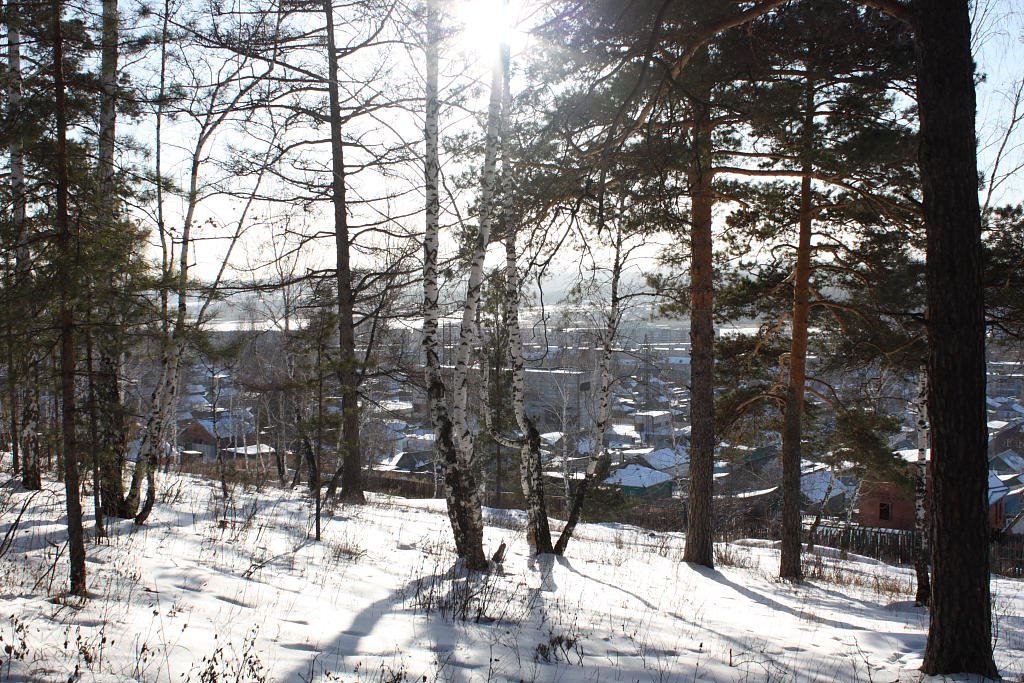 Солнечный зимний вечер / Sunny winter evening