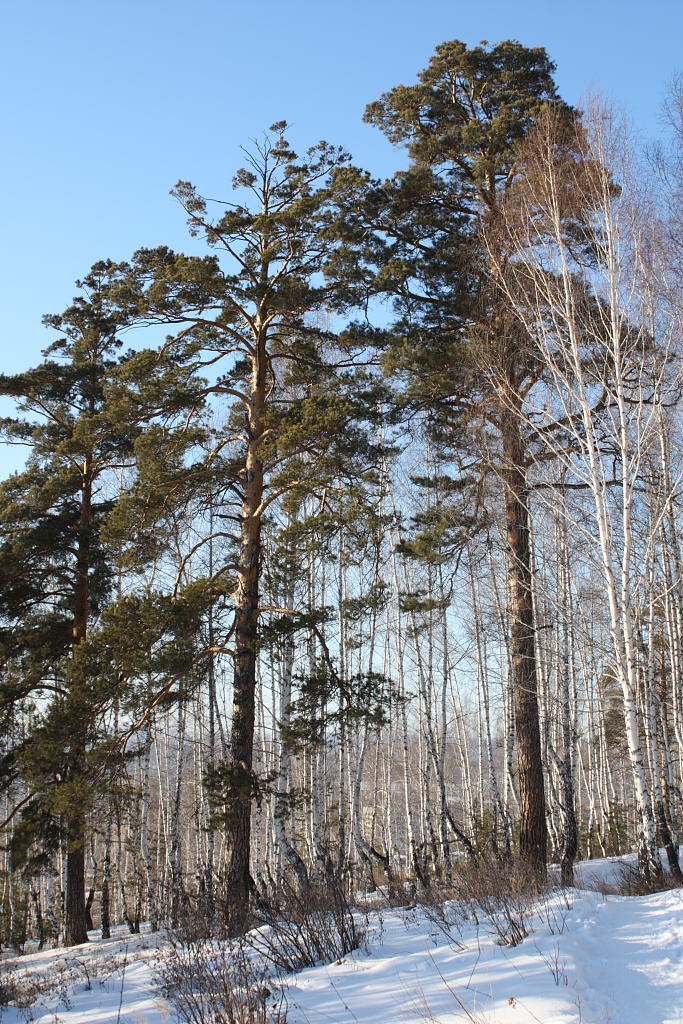 Красоты Миасса / Beauty of Miass