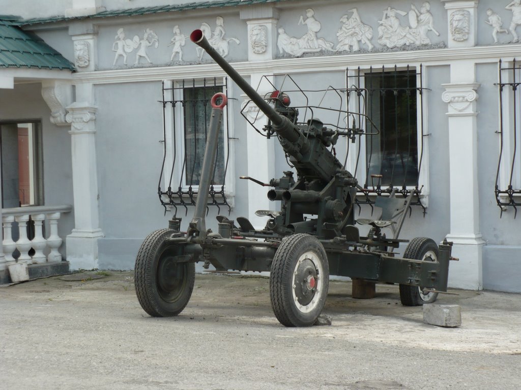 Пушка возле дворца