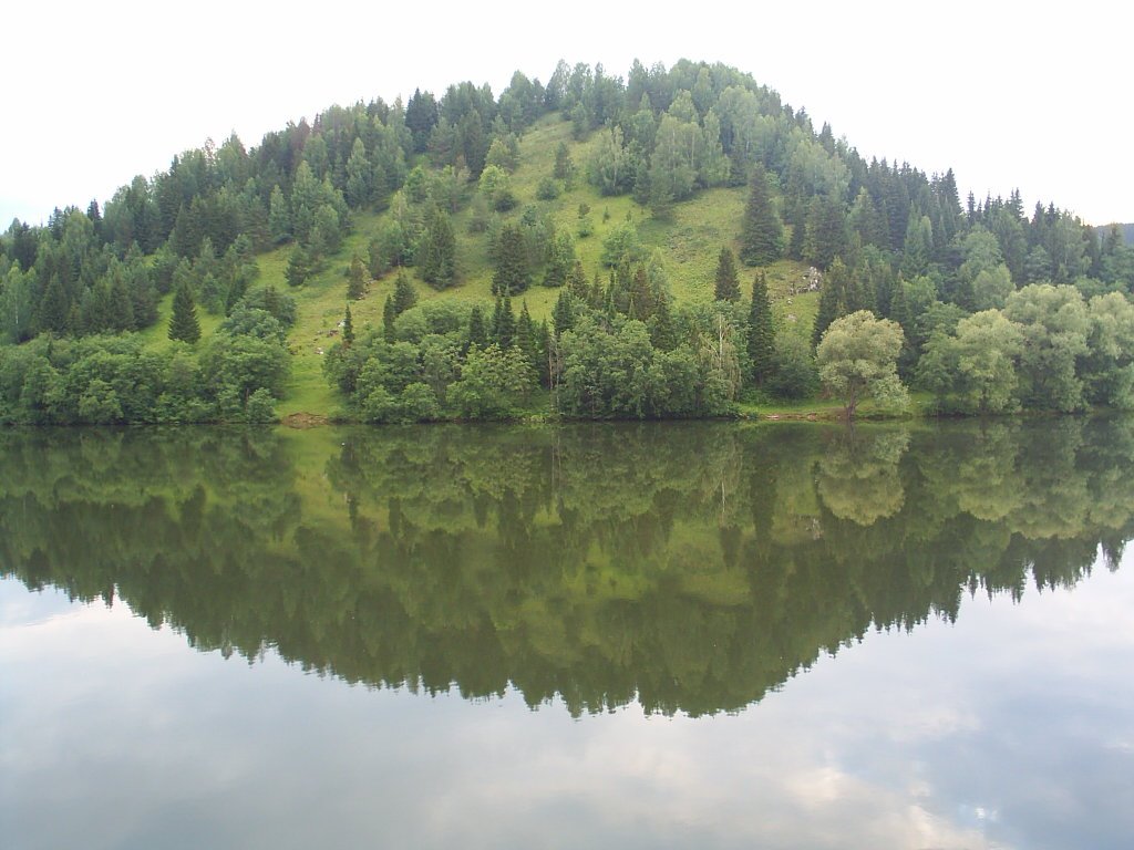 Гора "Жукова шишка"