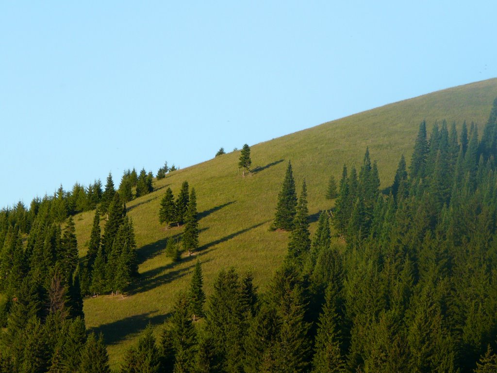 Симская горушка