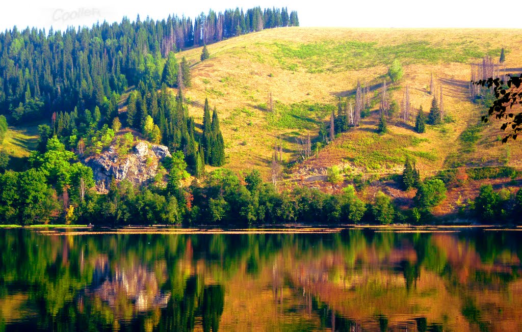 Отражения в воде