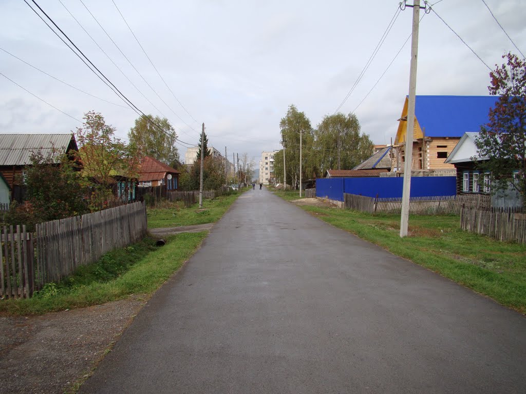 г. Сим, ул. Володарского