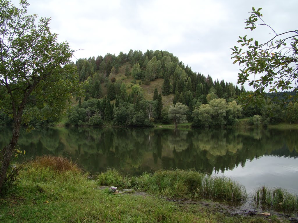 Гора Жукова шишка