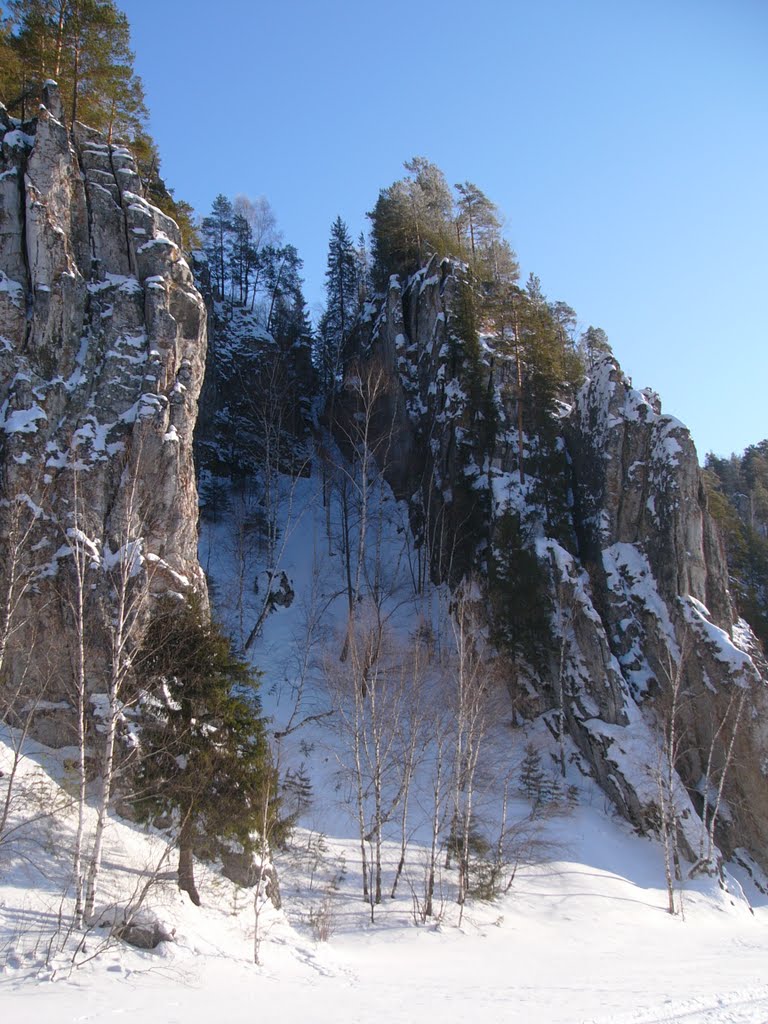 Скалки на пруду (16анв2011)