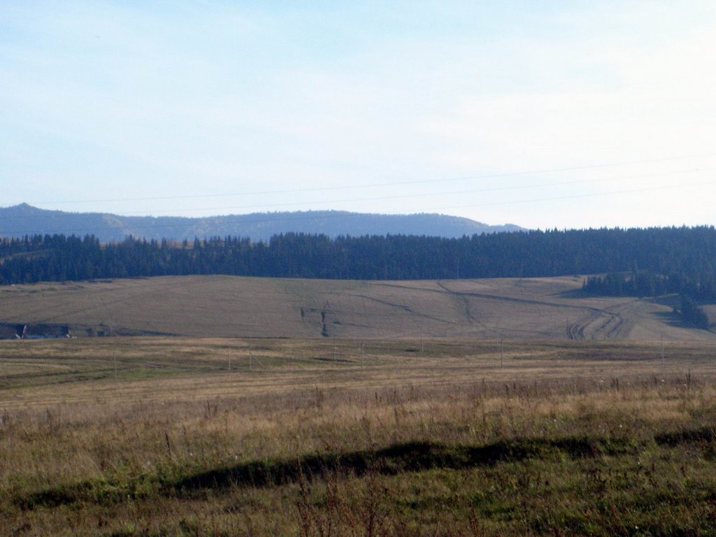 Sim, Chelyabinskaya Oblast