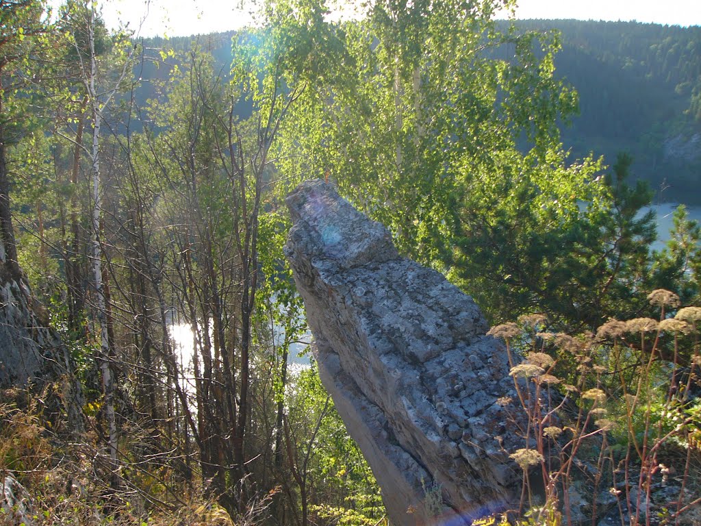 Вид с горы (9) (04авг2012)