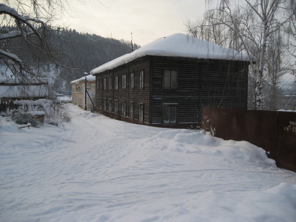 winter