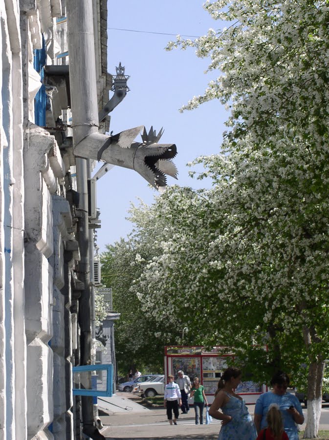 Dragon