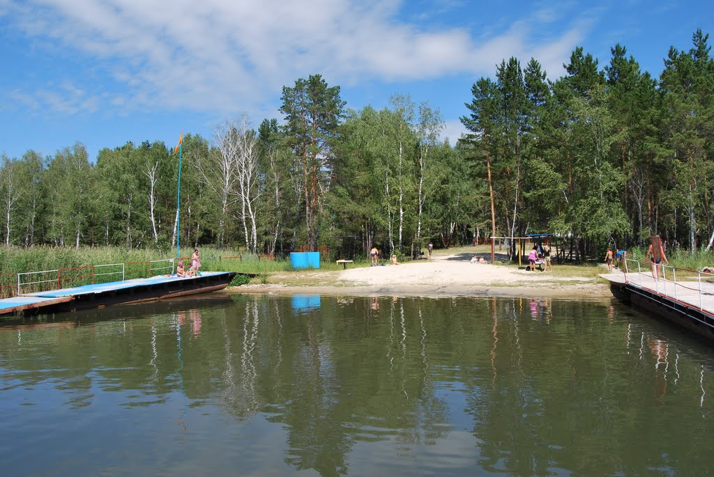 2010 год