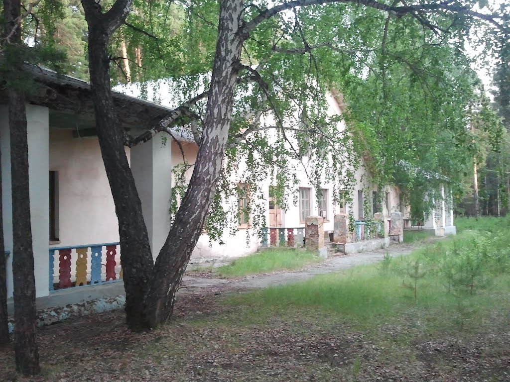 Слева корпус малышей, в центре корпус средних