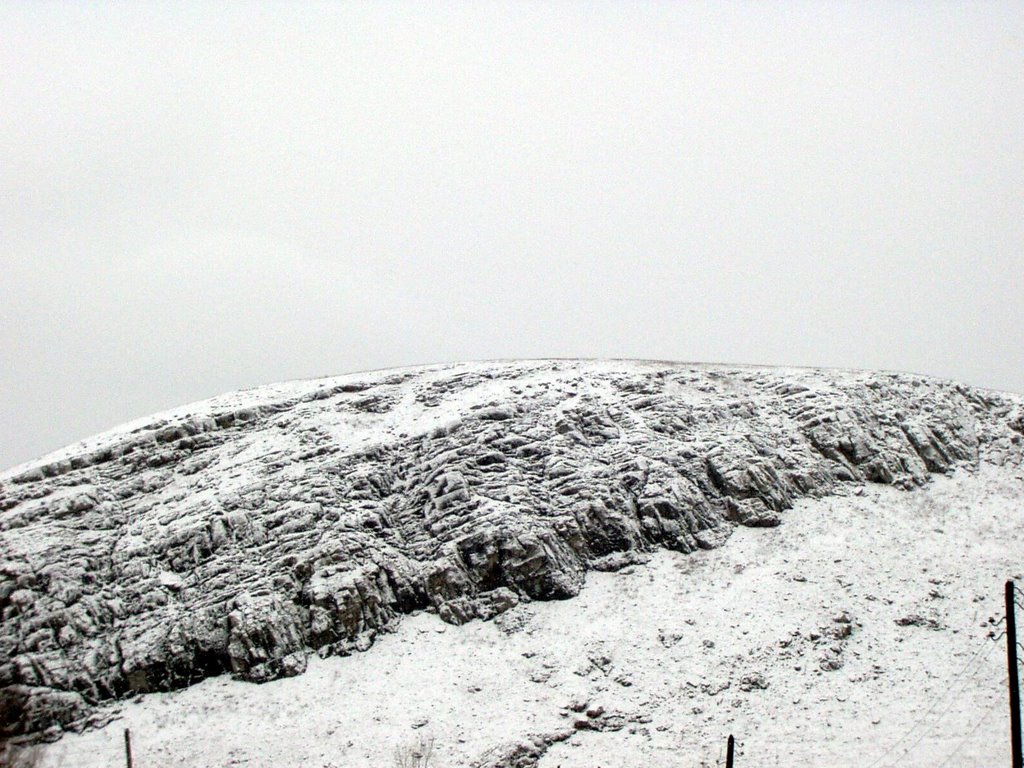 Паранино