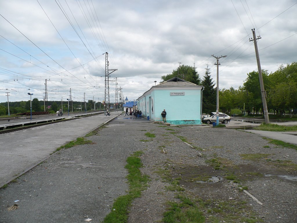Станция Чебаркуль