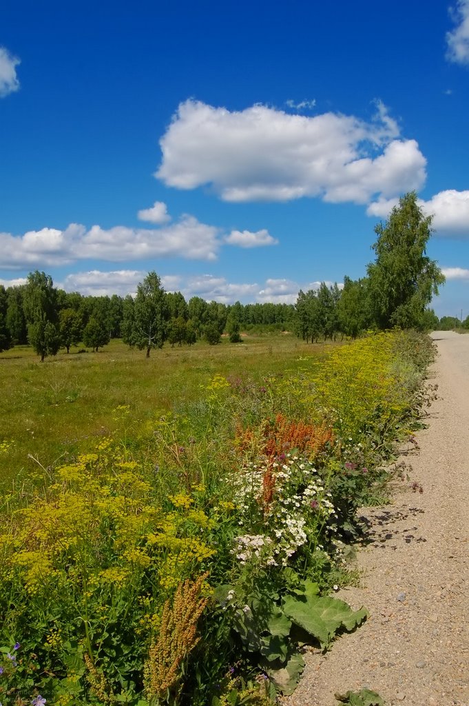 Обочина / Road side