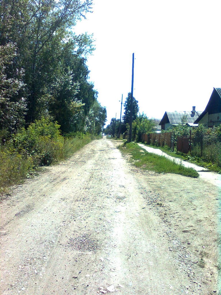 Чебаркуль улица Электростальская