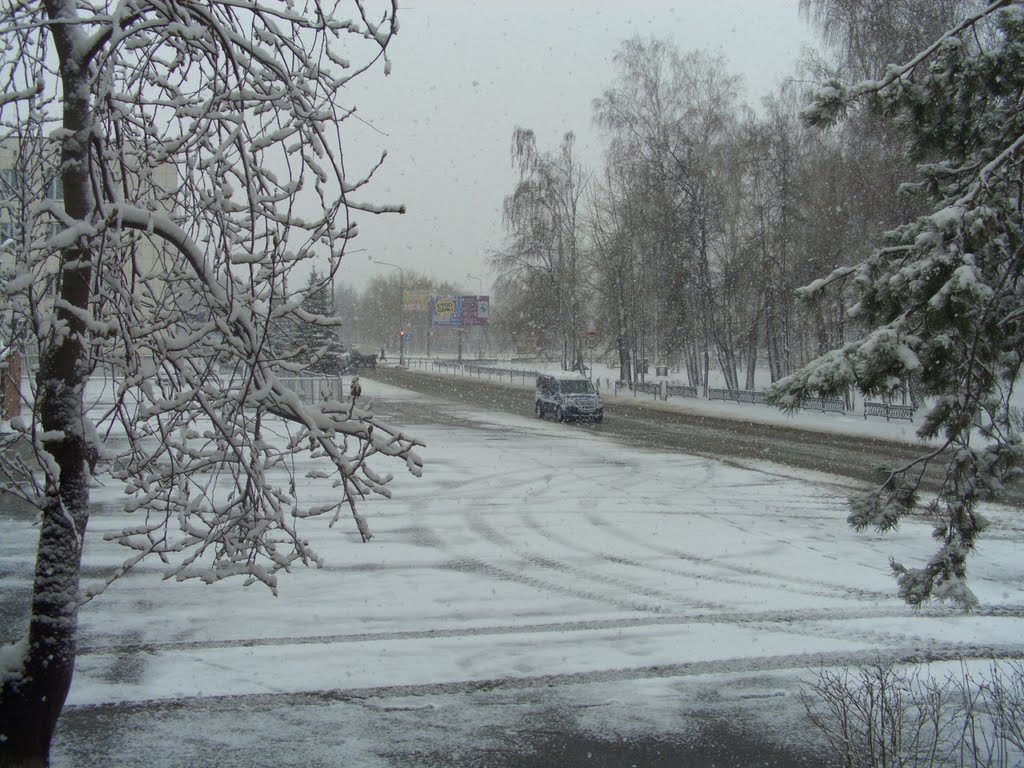 2 мая 2009года.Снег.