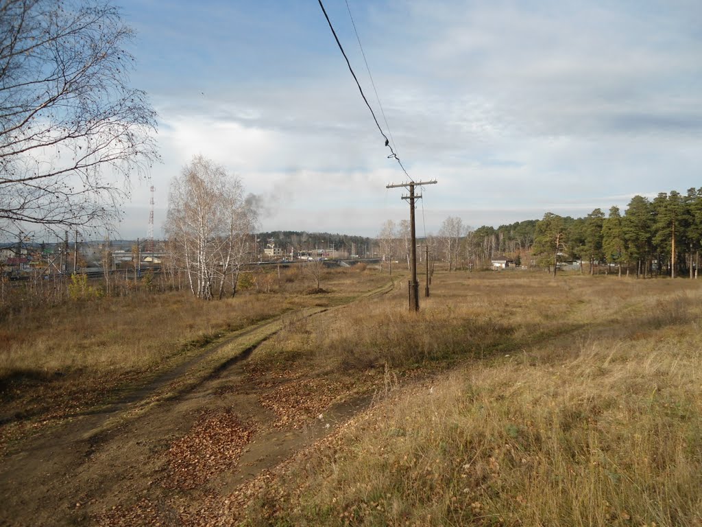 Дорога
