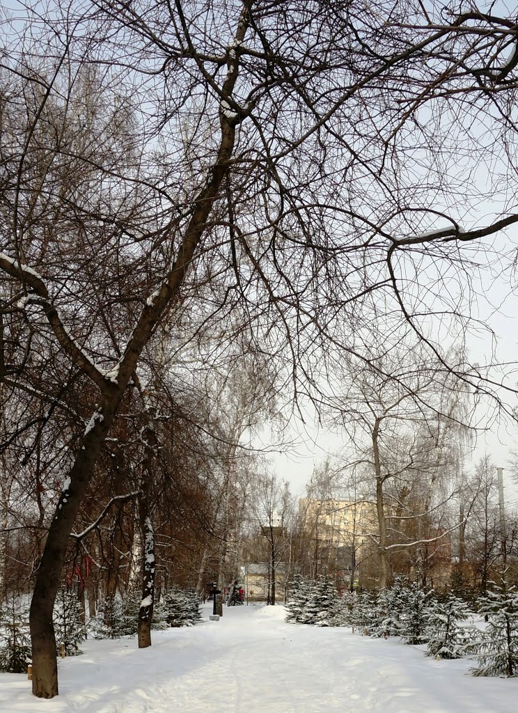 Аллея /Parkway/