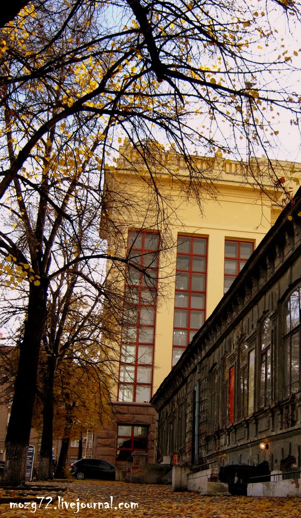 ...Осень в Городе/Autumn in the City !!!