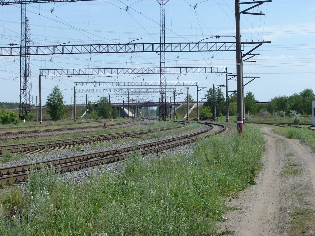 вид на мост со станции