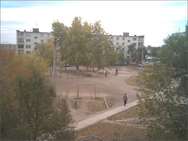 Мой двор1
