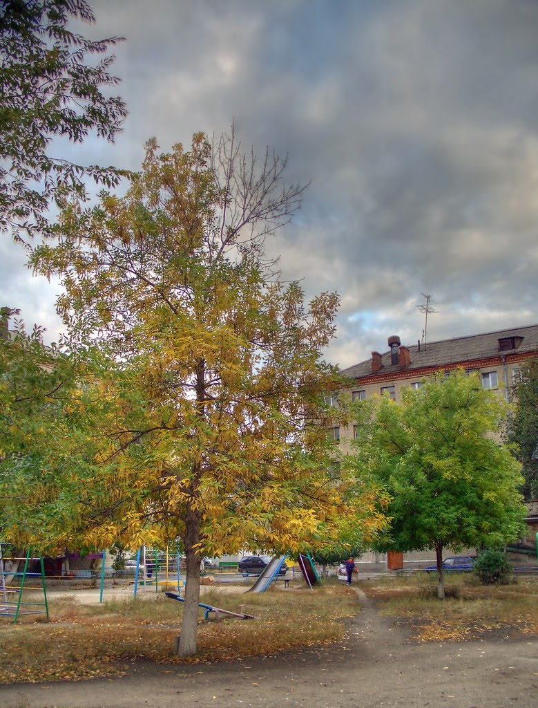 Южноуральский двор