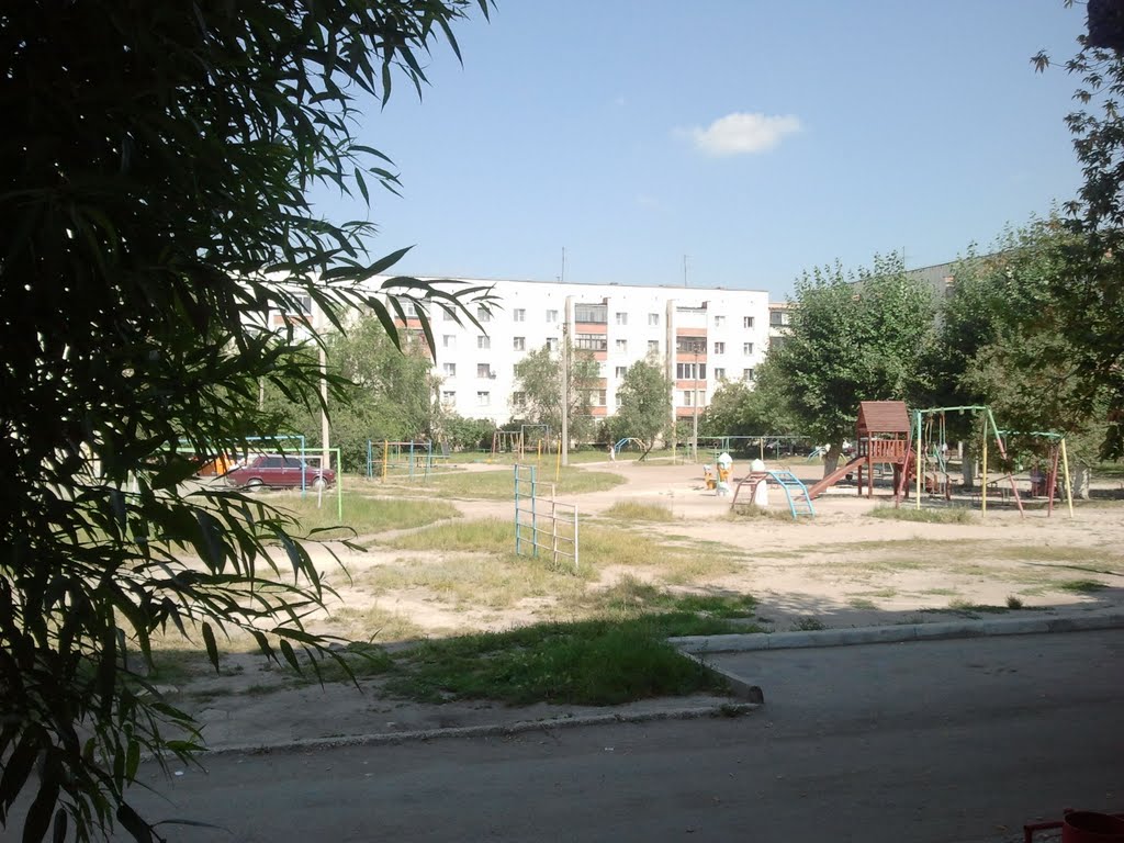 вид на двор август 2011 г.