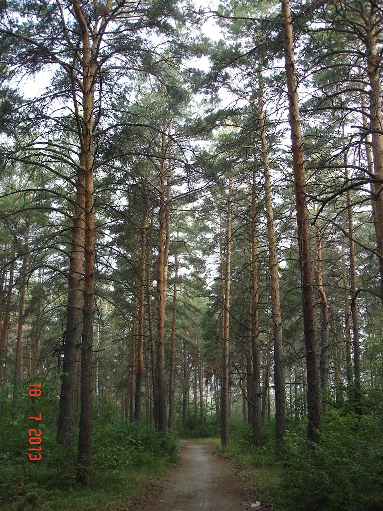Тропа