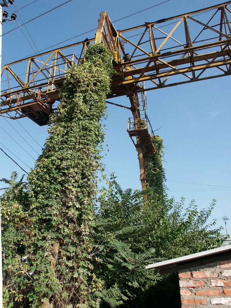 ТВ-Юрт, Grozny, Chechnya, 2003