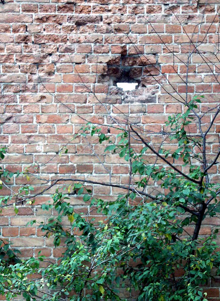 Grozny, Chechnya, 2003