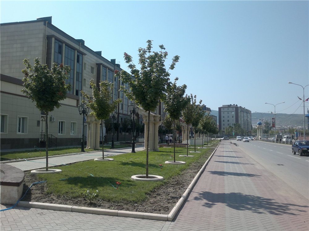 Гудермес. Проспект Терешковой