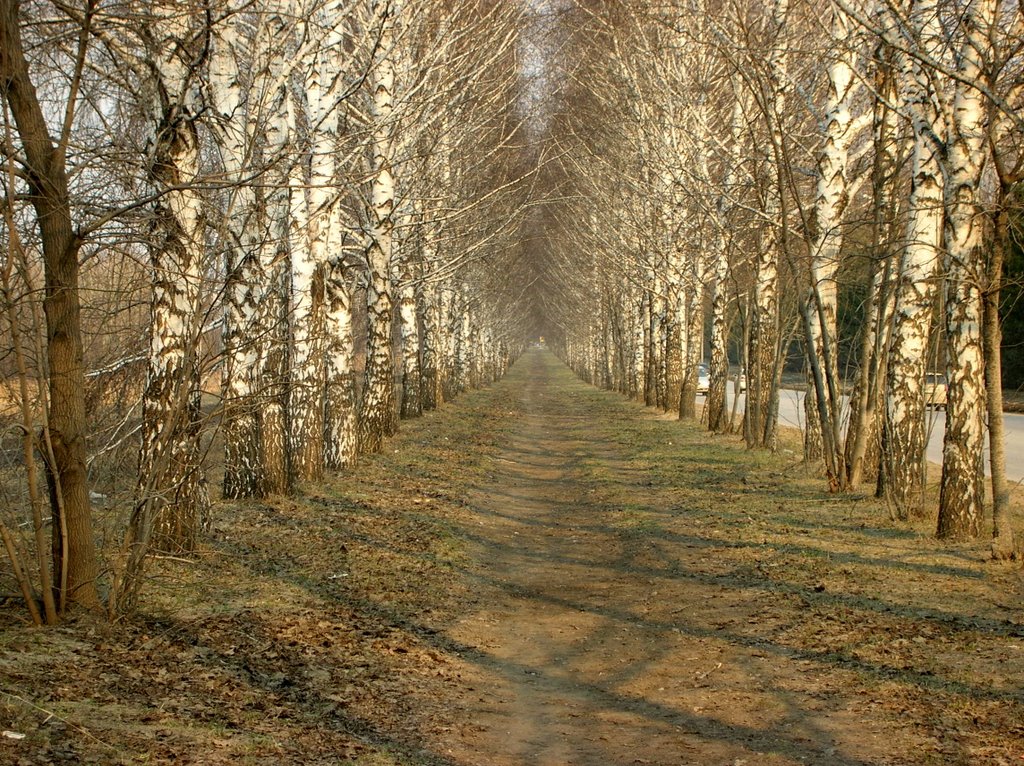 Аллея