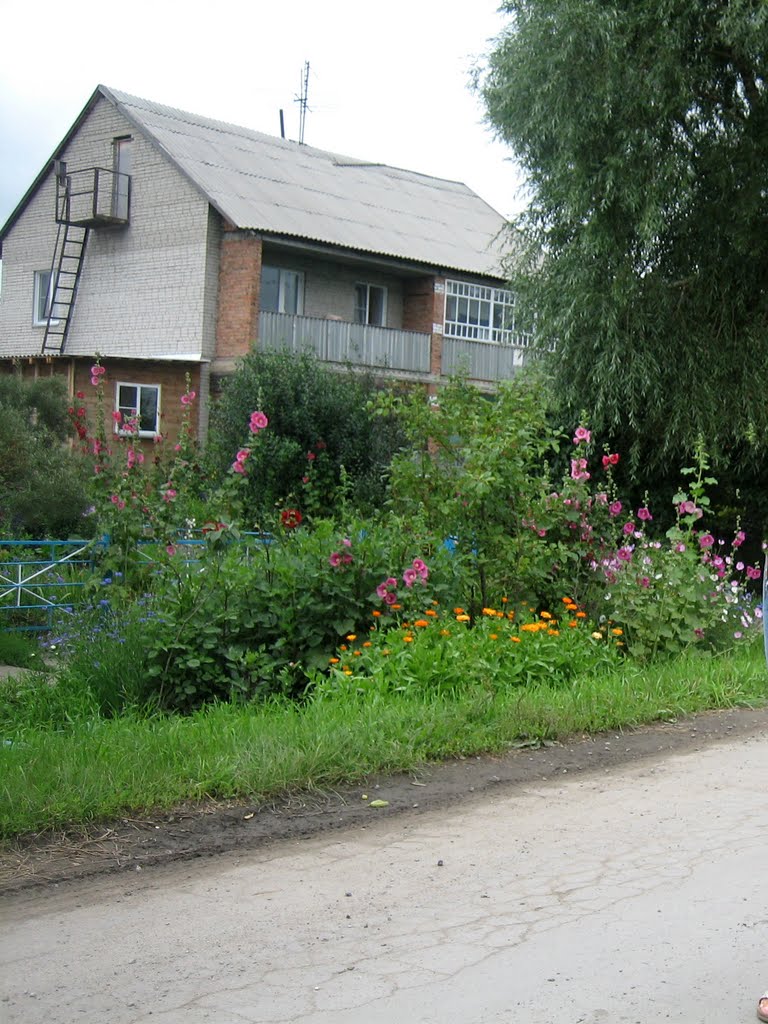 Cottage  / Ул. Полевая, 20