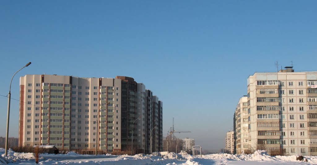 Новый дом