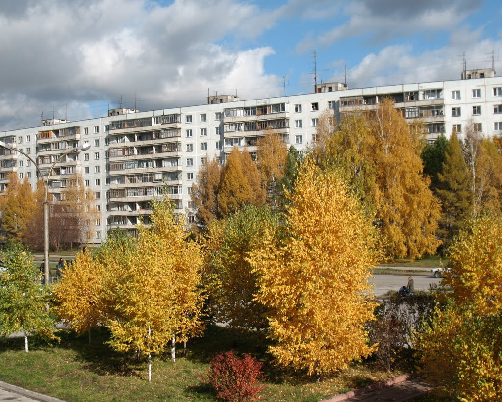 Золотая осень