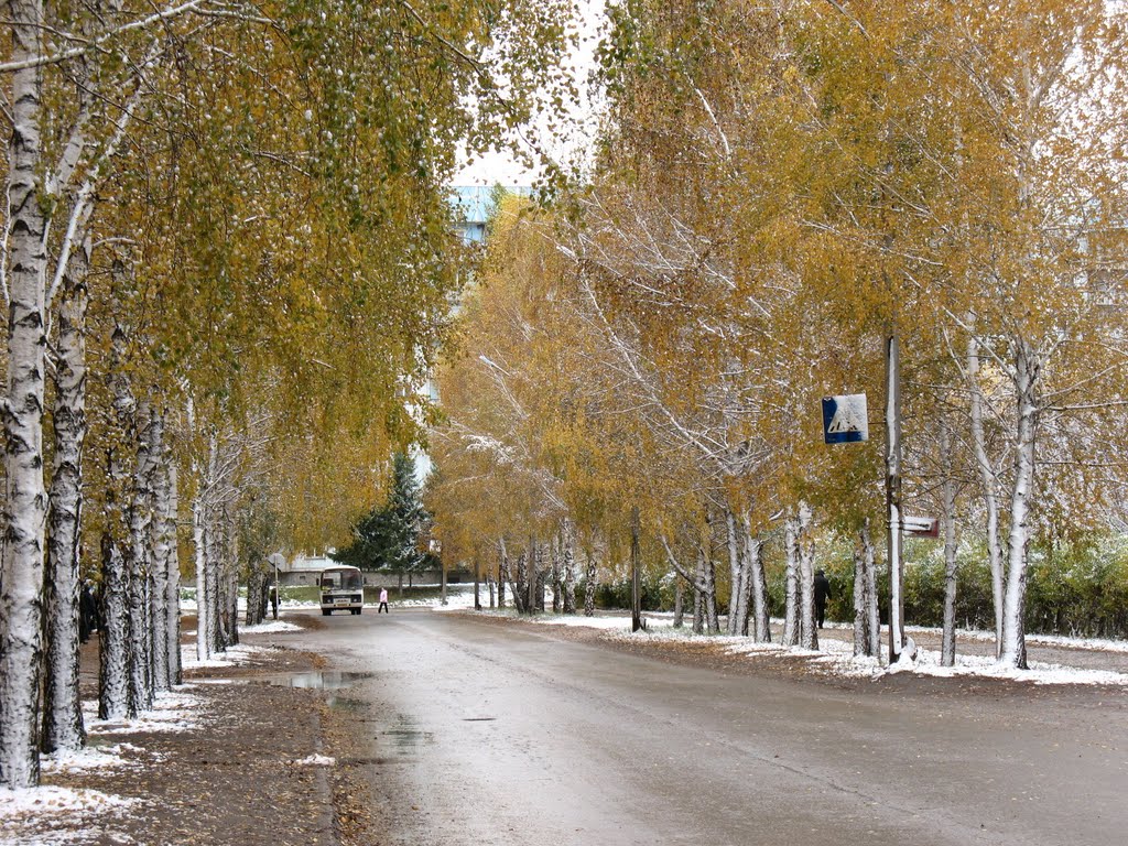 Скоро зима