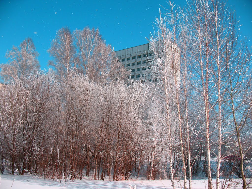 Урбанизация