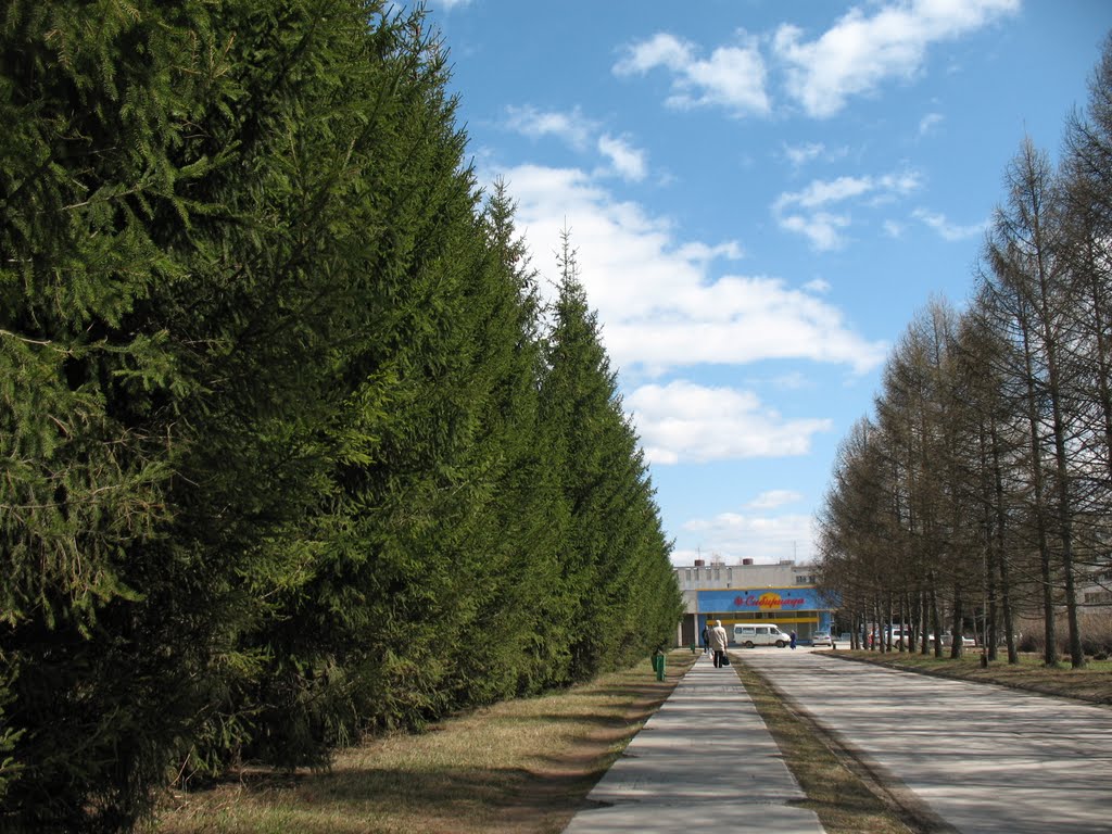 Сибириада