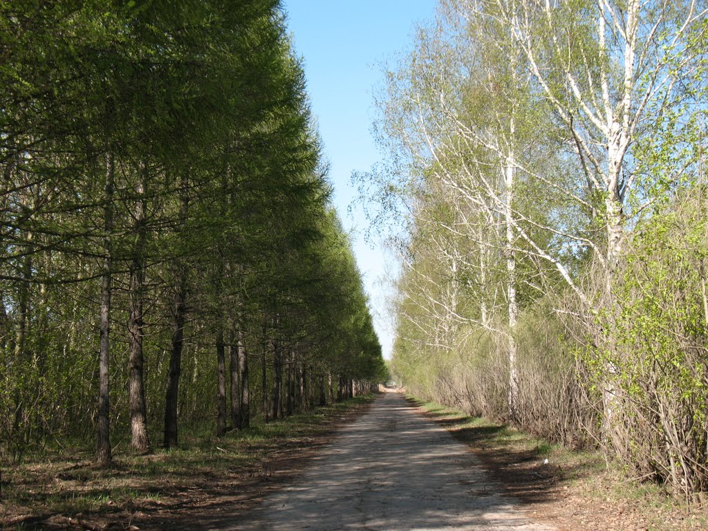 Темное и светлое