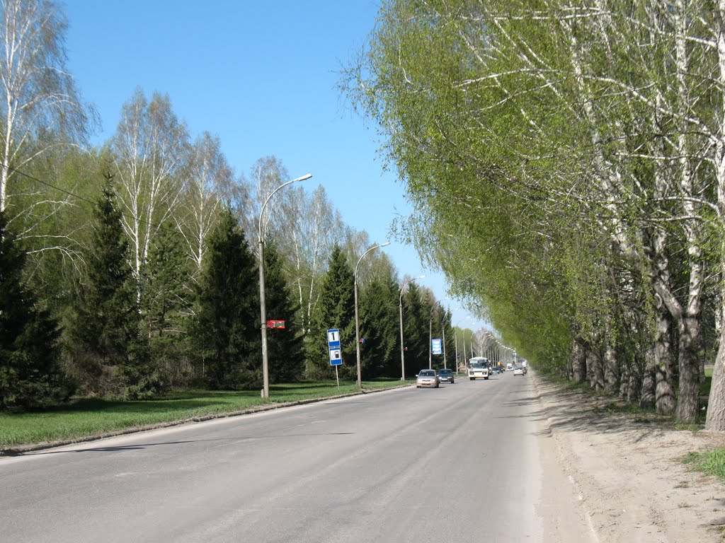 Дорога в город