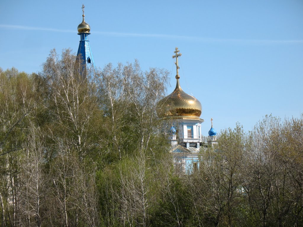 Купола