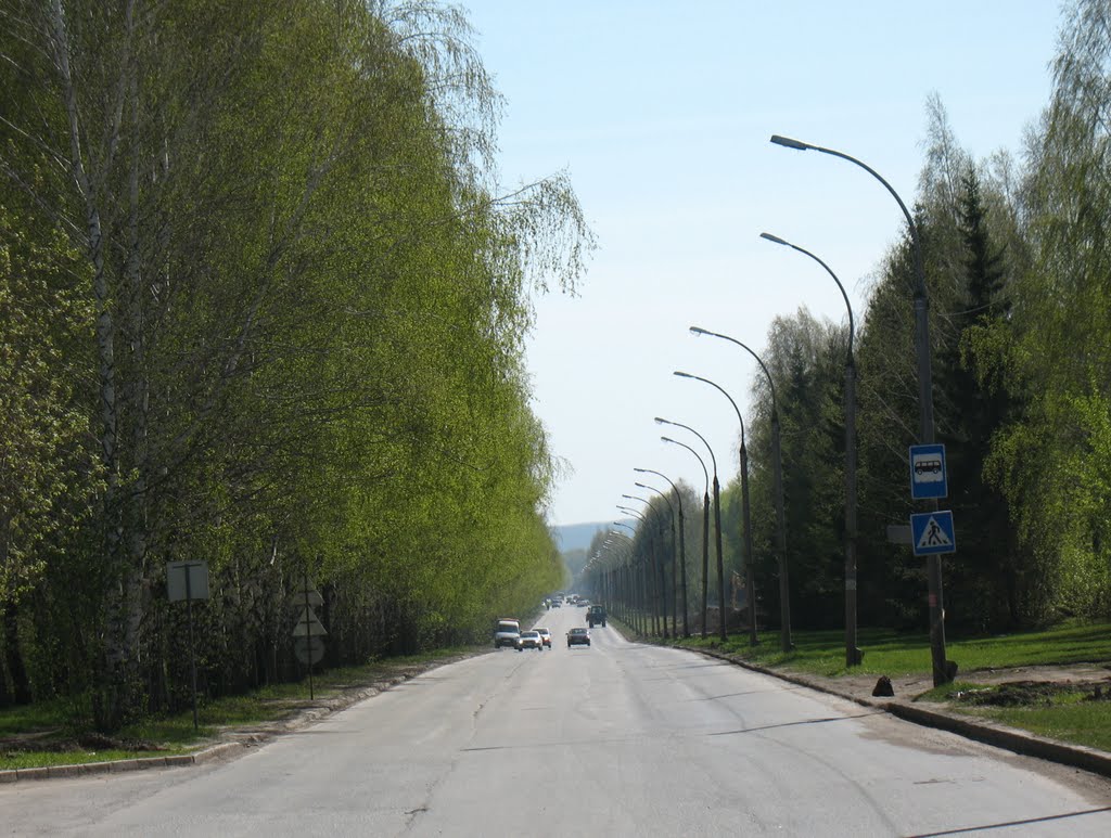 Дорога домой