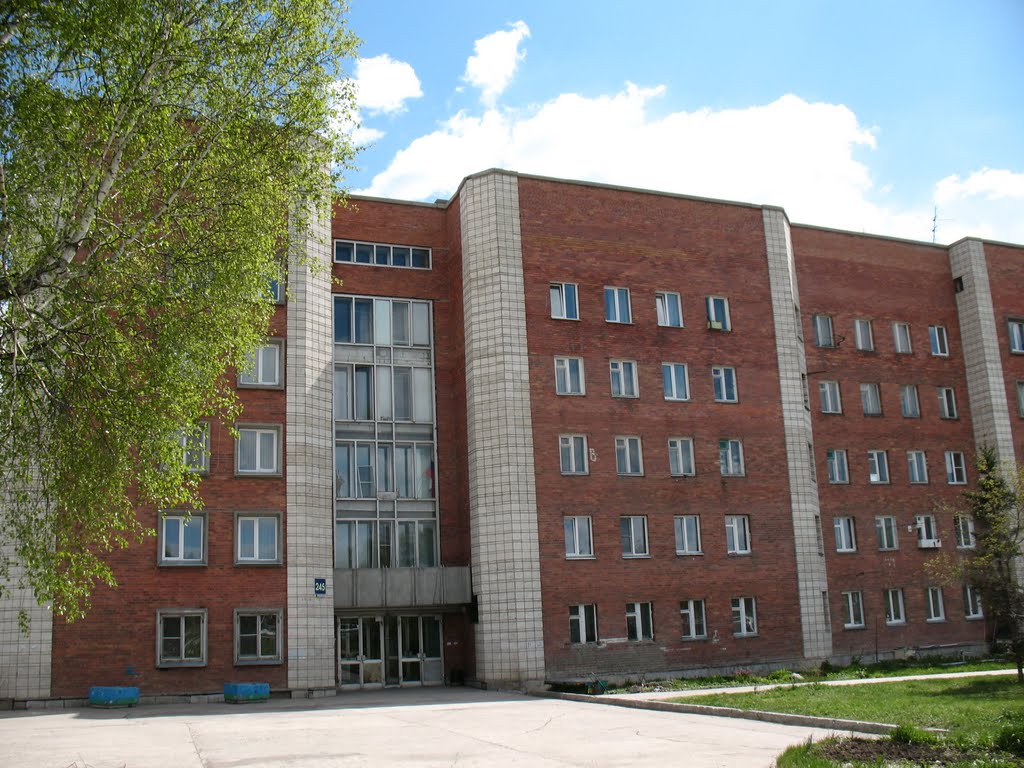 дом 245