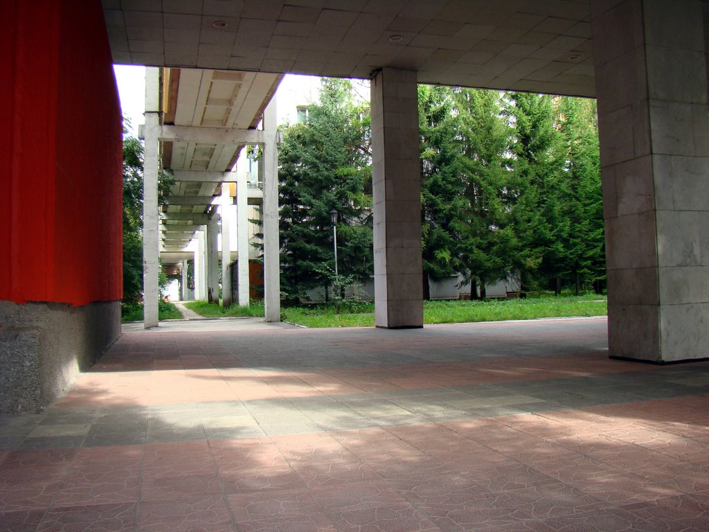 Институты, Краснообск